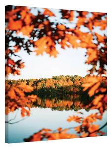 Nature #13