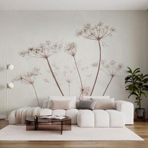 Tapet Umbele uscate pe un fundal minimalist, deschis la culoare, Fototapet Flori, Fototapet Flori Mari, w05543 : Uwalls.ro