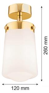 Lustră aplicată PASADENA 1xE27/15W/230V aurie/albă Argon 8005