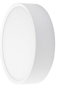 BRUMBERG Lampa de perete pentru exterior LED EYE, model deschis, alb, CCT, IP65, Alb, Hol, Aluminiu, Modern
