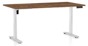 Masă înălțime reglabilă OfficeTech B, 160 x 80 cm, picioare albe, stejar silverjack