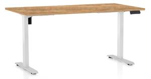Masă înălțime reglabilă OfficeTech B, 160 x 80 cm, picioare albe, stejar auriu
