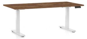 Masă înălțime reglabilă OfficeTech C, 160 x 80 cm, picioare albe, stejar silverjack