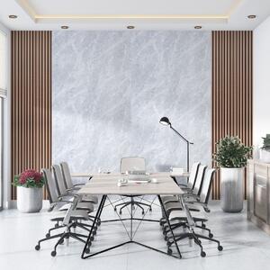 Panou decorativ Silver 266 х 122 cm