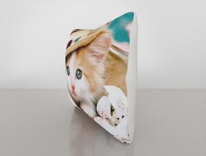 Față de pernă cu amestec din bumbac Vitaus Cute Kitten, 43 x 43 cm