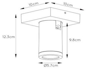 Spot LED dimabil TAYLOR 1xGU10/5W/230V IP44 Lucide 09930/05/30