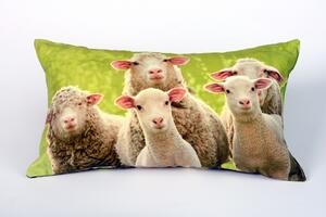 Set 2 Perne decorative Sheeps