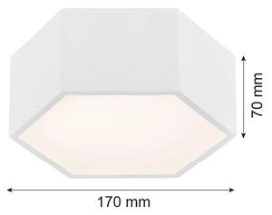 Plafonieră LED ARIZONA LED/9W/230V albă Argon 3828