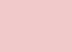 Lenjerie de pat microfibra DRAGONFLY roz + fata de perna 40 x 40 cm gratuit Dimensiune lenjerie de pat: 70 x 90 cm | 140 x 200 cm