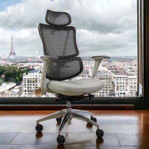 Ergodynamic Star Plus - Light Grey - Scaun de birou 4D, sezut translatie, suport lombar ajustabil 7 cm