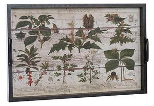 Tava Botanical din lemn 60x40 cm