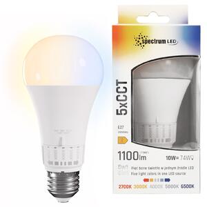Bec LED 5 culori de lumină GLS E27 230V 10W 5CCT