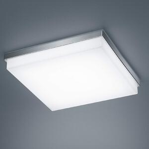 Helestra Cosi plafonieră LED crom 31,5x31,5 cm, reglabil, Metalic, Hol, Metal, Modern
