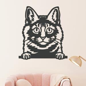 DUBLEZ | Tablou din lemn cu pisică - Maine Coon