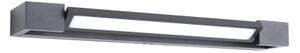 Brilagi - Aplică LED de exterior AQUA LINE LED/12W/230V 45 cm IP44 antracit CRI 90