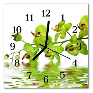 Ceas de perete din sticla pătrat Orchid Flori și plante verzi