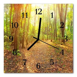 Ceas de perete din sticla pătrat Forest Way Peisaj multi-colorat