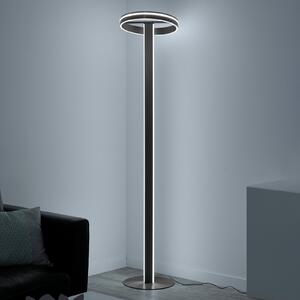 Paul Neuhaus Q-VITO lampadar LED, antracit