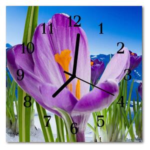 Ceas de perete din sticla pătrat Spring Natura Purple