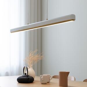 UMAGE Lampă suspendată LED Hazel Branch, alb/zahăr, 100 cm, reglabil, Alb, Camera de zi / sufragerie, Metal, Modern