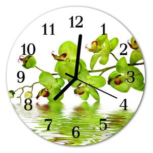 Ceas de perete din sticla rotund Orchid Flori și plante verzi