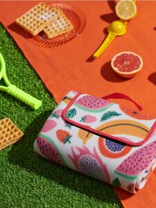 Sinsay - Pătură pentru picnic - multicolor