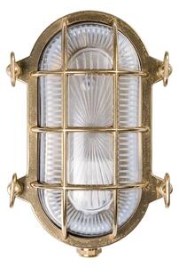 Aplică Tortuga oval 22,5cm alamă natur/clar