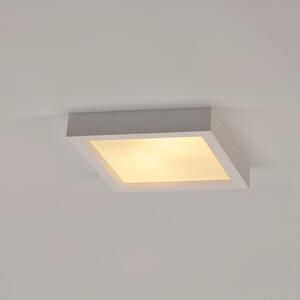 SLV plafonieră Plastra 104, alb, gips, lățime 25 cm