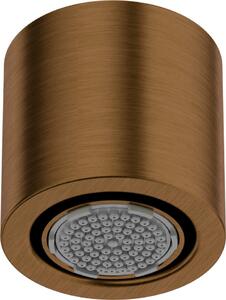 SILIA – Pălărie de duș fixă, 1-funcție, finisaj Bronz periat (NQS_C30K)