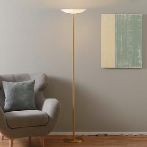 Knapstein Lampadar LED Mika, alamă mat, reglabil, Auriu / Alamă, Camera de zi / sufragerie, Metal, Design