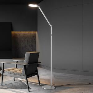 Fabas Luce Lampă de podea LED Regina, 1 bec, aluminiu, reglabil, Metalic, Camera de zi / sufragerie, Metal, Modern