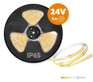 Bandă LED TRAMO pentru exterior, 50 W, 24 V, 5 m, IP65, 6500 K