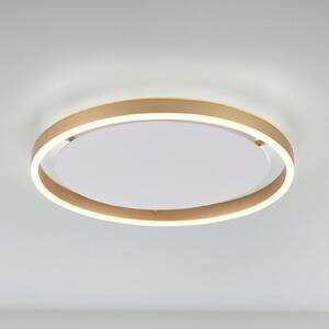 Plafonieră LED Ritus, Ø 39.3cm alamă mată