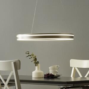 Q-Smart-Home Paul Neuhaus Q-VITO lampă suspendată LED 59cm oțel, reglabil, Metalic, Camera de zi / sufragerie, Metal, Modern