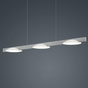 Helestra Pole lampă suspendată LED 3 becuri nichel, reglabil, Gri, Camera de zi / sufragerie, Metal, Modern