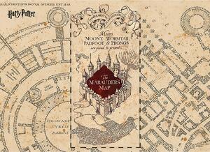 Suport farfurie Harry Potter Marauders Map pentru copii, 42 x 30 cm