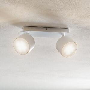 Eko-Light Spot de tavan Cloudy cu 2 becuri, alb, reglabil, Alb, Camera de zi / sufragerie, Metal, Modern