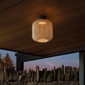 Bover Nans PF/31 LED plafonieră de exterior, maro