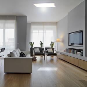 Panou LED 1298003, încas sau aplicare, 60x30 cm