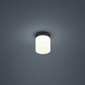 Helestra Keto plafonieră LED, cilindru, negru