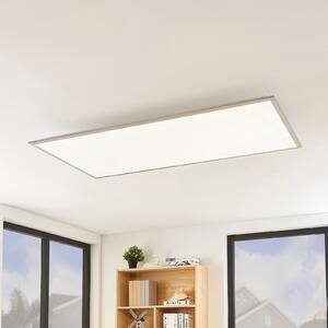Lindby Panou LED Stenley, CCT, 120 cm x 60 cm, dimabil, reglabil, Alb, Bucătărie, Plastic, Modern