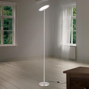 Oscar lampadar LED, dimabil, cap reglabil