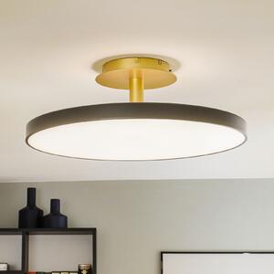 UMAGE Asteria Up Large plafonieră 60cm antracit, reglabil, Negru, Camera de zi / sufragerie, Metal, Design