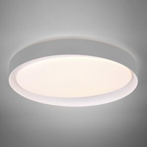 Plafonieră LED Zeta tunable white, gri/alb