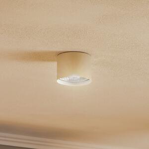 Argon Spot de tavan Chloe fix, bej, reglabil, Bej, Camera de zi / sufragerie, Metal, Modern