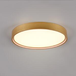 Trio Lighting Doha plafonieră LED, CCT, alamă mată, Auriu / Alamă, Camera de zi / sufragerie, Metal, Perete rotund