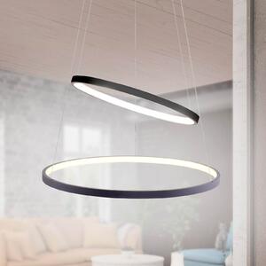 Suspensie LED Circle, antracit, versiune cu două lumini