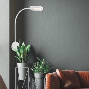 Briloner 2177016 aplică LED cu dimmer, alb, reglabil, Alb, Camera de zi / sufragerie, Metal, Lumină de lectură