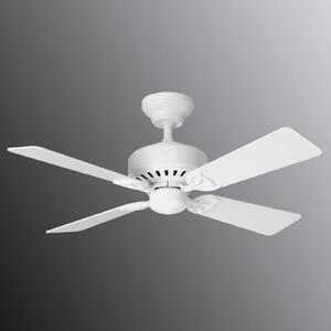 Hunter Bayport ventilator alb/stejar deschis