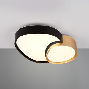 Trio Lighting Plafonieră cu LED Rise, negru-auriu, 43 x 36 cm, CCT, reglabilă, reglabil, Negru, Camera de zi / sufragerie, Metal, Modern